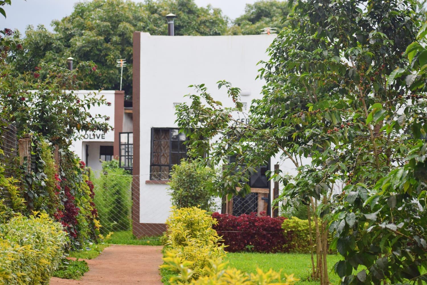 The Plantains Place Karatina Exterior photo